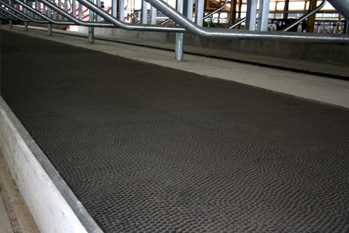 Dairy Mats & Rubber Flooring