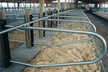 Freudenthal Suspended Freestalls