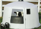 PolyDome Hutches